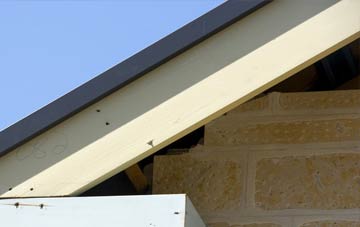 Coillore fascia repairs
