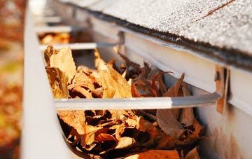 Coillore gutter cleaning companies