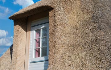 Coillore thatch roof disadvantages
