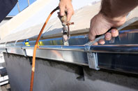 free Coillore fascia quotes