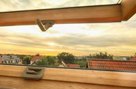 rated Coillore roof window companies
